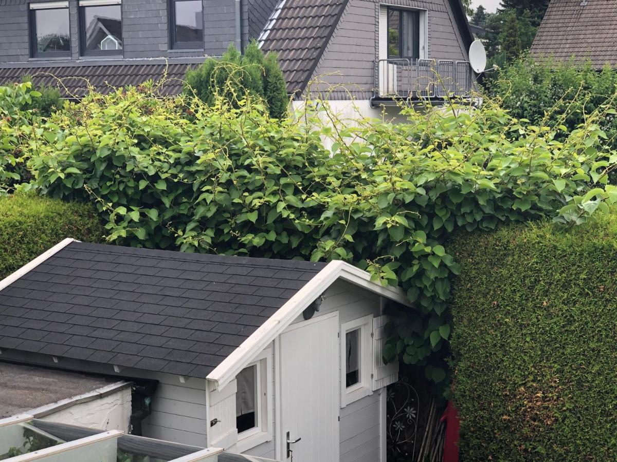 Bel Art Etage Mit Grossem Parkplatz Apartment Haan Exterior photo